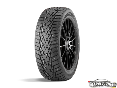 Double Star DW01 205/65 R16 95T